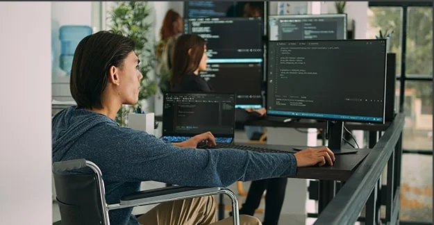 Web Development